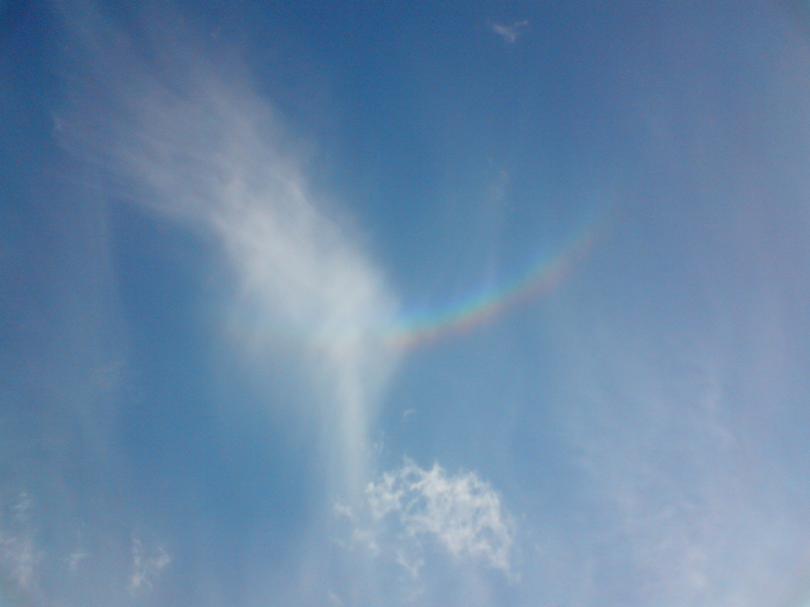 DSC00554.JPG