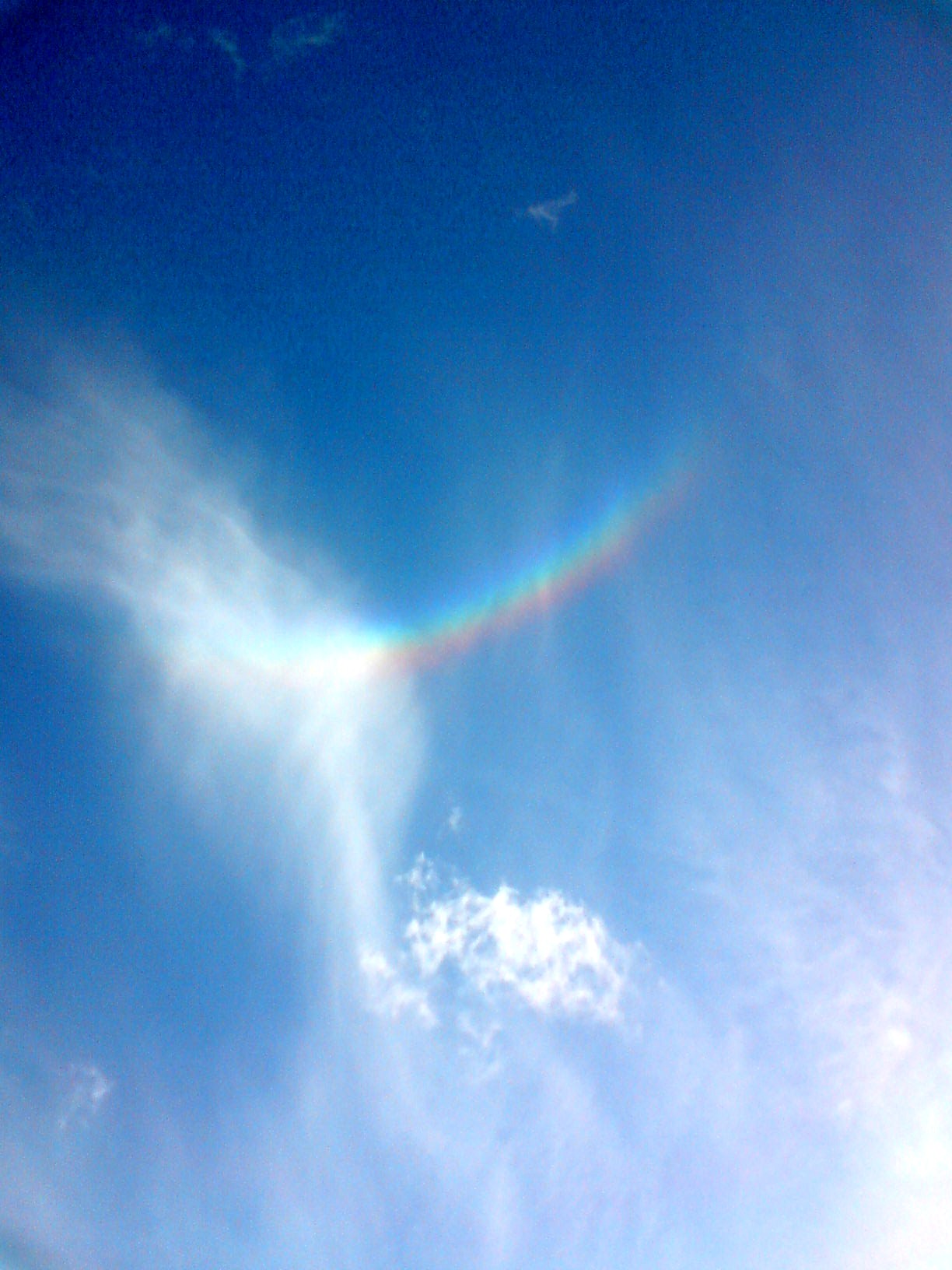 DSC00553.JPG